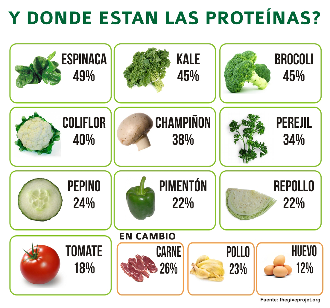 proteinas-vegetarianas