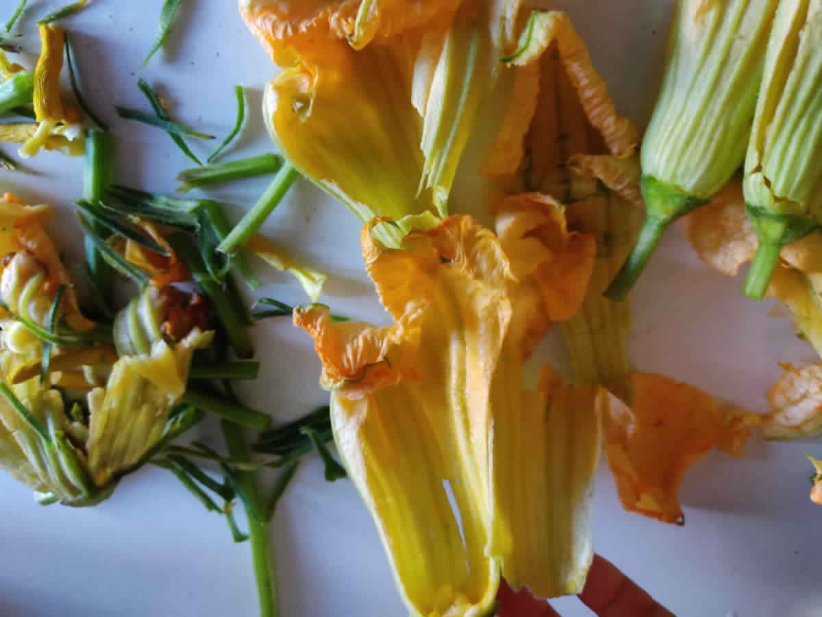 Soufflé de flor de calabaza
